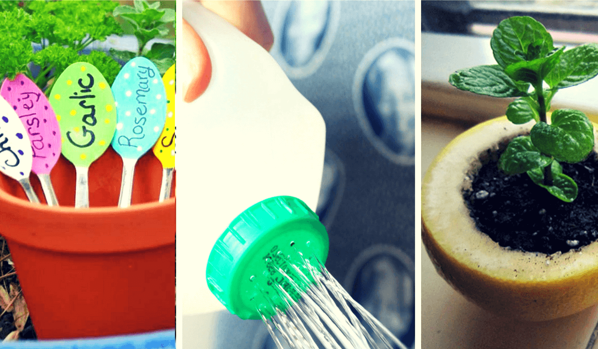 12 trucos de jardinería que no conocías 